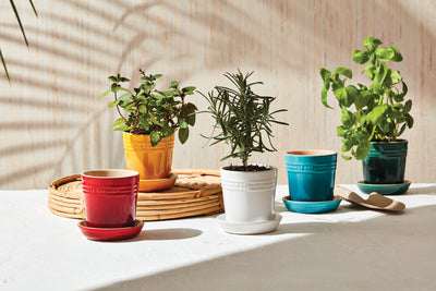 Le Creuset Herb Planters